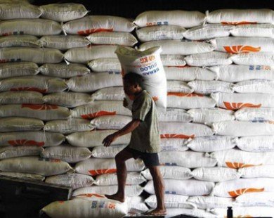 Indonesia sản xuất gạo đạt thặng dư kỷ lục năm 2013