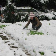 Lào Cai đặt mục tiêu đón 1,5 triệu khách du lịch năm 2014