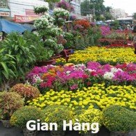 Mời tham gia Hội chợ Hoa 2014 xã Thanh Liệt, Thanh Trì, Hà Nội