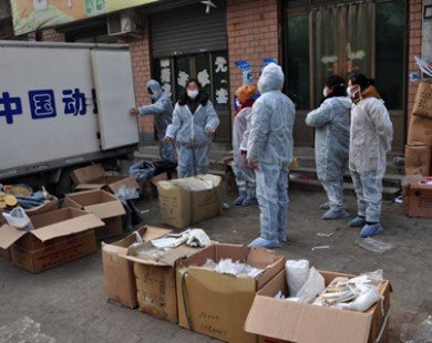Thêm ca nhiễm cúm gia cầm H7N9 mới ở Trung Quốc