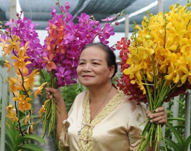 Trồng hoa lan cắt cành thu nhập 500 triệu đồng mỗi ha