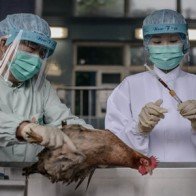 Trung Quốc phát hiện thêm bệnh nhân nhiễm cúm H7N9