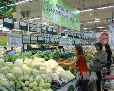 Lâm Đồng cung cấp gần 2 triệu tấn rau củ cho dịp Tết