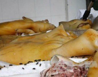 Đồng Nai: Phát hiện cơ sở chuyên giết mổ lợn chết