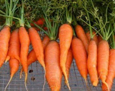 Phụ nữ nên ăn cà rốt để giữ làn da đẹp mềm mại