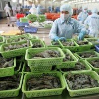 Xuất khẩu tôm của Việt Nam sang Trung Quốc tăng mạnh