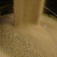 Argentina chọn Việt Nam làm thị trường ưu tiên xuất khẩu