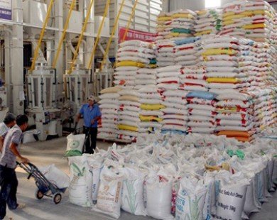 Tìm hướng đi cho xuất khẩu gạo trong năm 2014