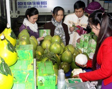 Hội chợ nông nghiệp: Nơi hội tụ hương vị Xuân đất Việt