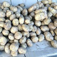 Hàng dạt đội lốt hàng "quê" xuống phố