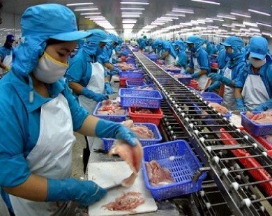 Việt Nam sẽ trở thành nước sản xuất cá tra bền vững