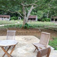 Du lịch Việt Hải: Nơi có Resort “treo” trong rừng...