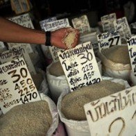 Doanh nghiệp Thái lạc quan dù bị hủy hợp đồng mua gạo