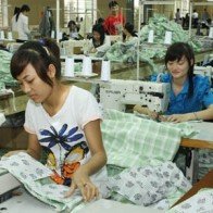 HSBC: "Việt Nam đón năm Giáp Ngọ tràn đầy hy vọng"