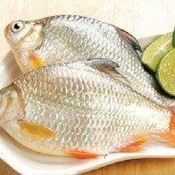 Những lợi ích và lưu ý khi ăn cá