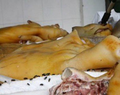 Đồng Nai: Thu giữ trên 600kg thịt và nội tạng lợn thối