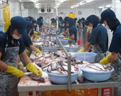 Dự luật nông trại Mỹ: Cơ hội tái cơ cấu cho cá tra Việt Nam