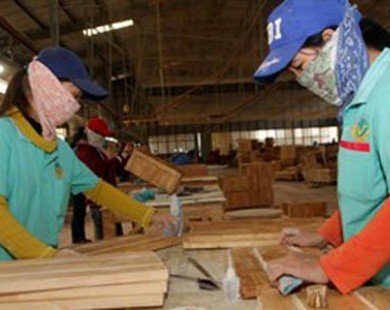 Tài trợ 930 tỷ đồng cho nhà máy gỗ MDF Kiên Giang