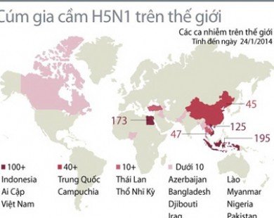 Việt Nam trong tốp có ca nhiễm H5N1 nhiều nhất thế giới