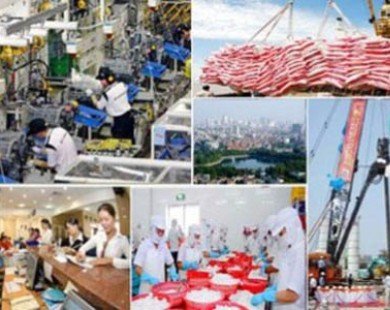 Ernst & Young: Tăng trưởng Việt Nam năm 2014 ở mức 5,4%