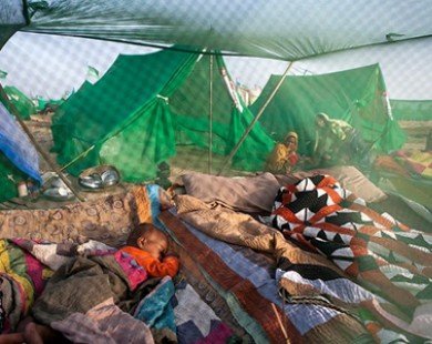 Nguy cơ lây lan bệnh sốt rét cao ở 10 quốc gia châu Phi