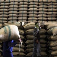 Thái Lan bán tháo gạo, thị trường thế giới trở nên bất ổn