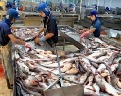 Mỹ đưa đưa cá tra, cá basa Việt Nam vào chương trình giám sát