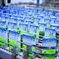 Vinamilk "xuất ngoại" sang Châu Âu