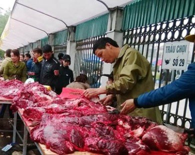 Thịt trâu chọi Phúc Thọ giá “cắt cổ” gấp 3 lần bò Úc
