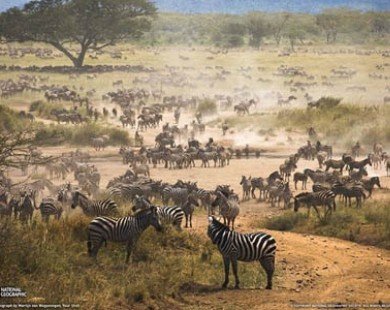 10 công viên quốc gia không thể không ghé nếu tới châu Phi