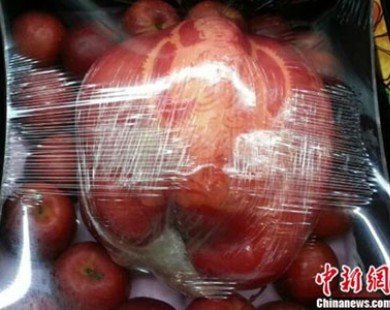 Cận cảnh trái táo khổng lồ nặng tới 1,2 kg