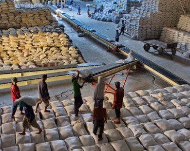 Xuất khẩu gạo tháng Hai tăng cả về số lượng và giá