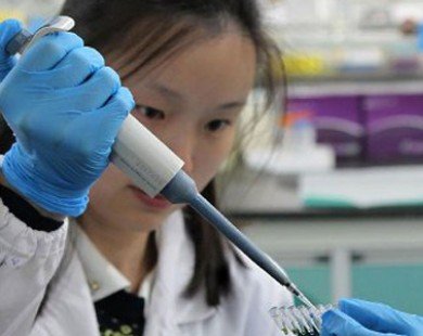 Vắc xin phòng cúm H7N9 sắp được tung ra thị trường