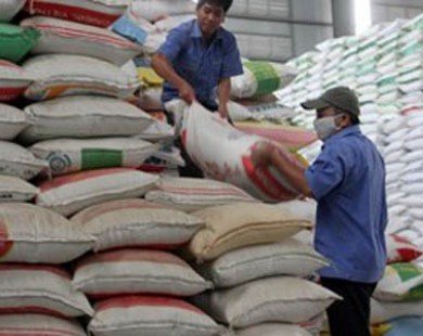 Cần Thơ dự kiến xuất khẩu một triệu tấn gạo trong 2014