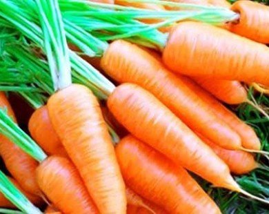 Mẹo chọn và bảo quản cà rốt bạn nên biết