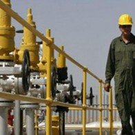 Nhà đầu tư mua vào mạnh, giá dầu châu Á phục hồi