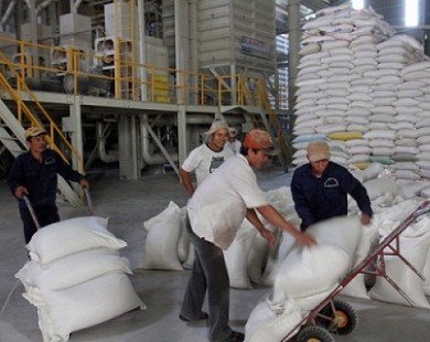 8.000 tỷ đồng tín dụng ưu đãi để thu mua tạm trữ gạo