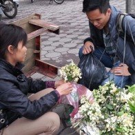 Hoa bưởi cuối mùa giá 250.000 đồng/kg hút khách Hà Nội