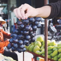 Trái cây Trung Quốc át trái cây nội địa