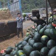 3kg dưa hấu = 1 cốc trà đá