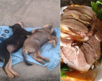 Hiểm họa thuốc cực độc Trung Quốc do ăn thịt chó bắt trộm