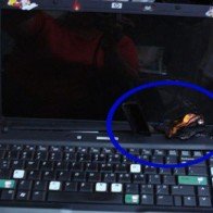 Những vụ thu hồi pin laptop do nguy cơ cháy nổ tại Việt Nam