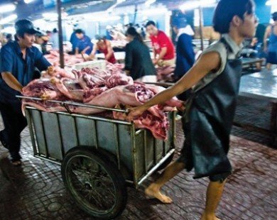 Nguồn gốc thịt lợn: Vừa ăn vừa sợ