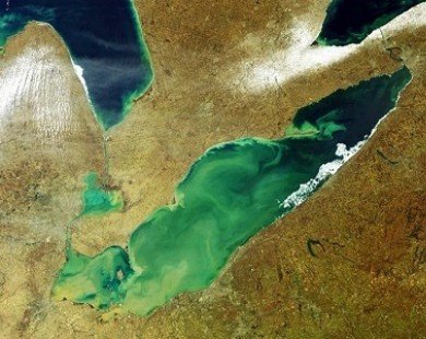 Tảo độc nở rực rỡ trên hồ Erie
