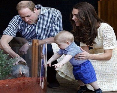 Ngắm Hoàng tử bé nước Anh ngộ nghĩnh đi vườn thú