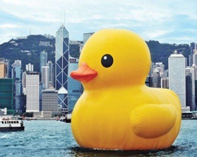 Giant duck sets flight path for HCM City