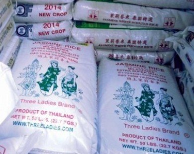 Gạo Việt: Phận “nhập cư” nhọc nhằn
