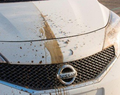 Dòng xe ’miễn nhiễm’ với vết bẩn của Nissan