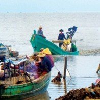 Con banh lông, cú lừa ngoạn mục của lái thương Trung Quốc