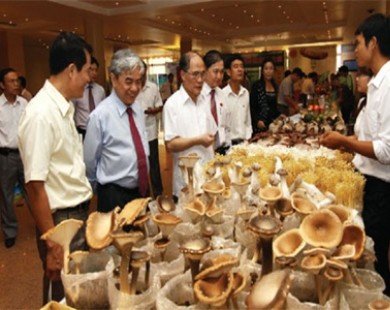 Vietnam Science and Technology Day (May 18): Not only to honor scientists